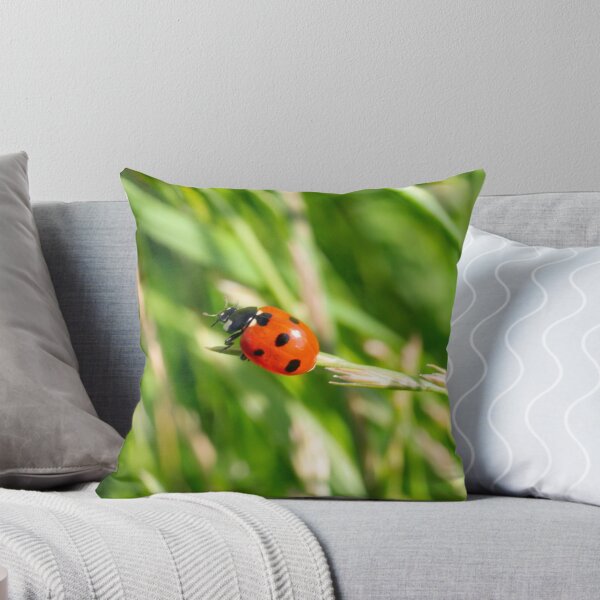 Item preview, Ladybird designed and sold by GingerMan2550.