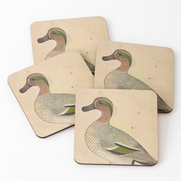 Item preview, A Green-winged Teal designed and sold by HinduArtGallery.