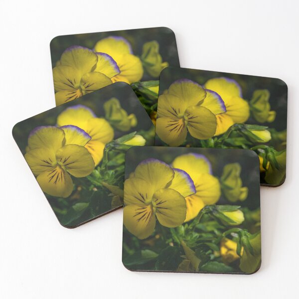 Item preview, Pansy in bloom. designed and sold by CanadianWild418.