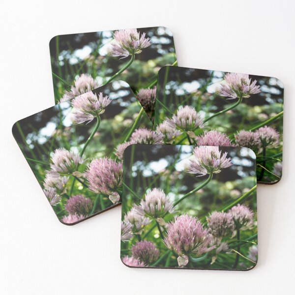 Item preview, Chive blossoms designed and sold by CanadianWild418.