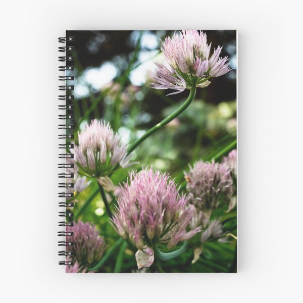 Item preview, Chive blossoms designed and sold by CanadianWild418.