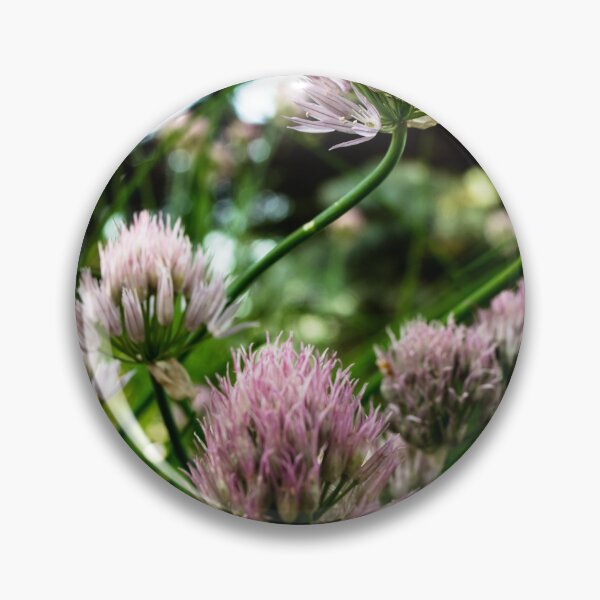 Item preview, Chive blossoms designed and sold by CanadianWild418.