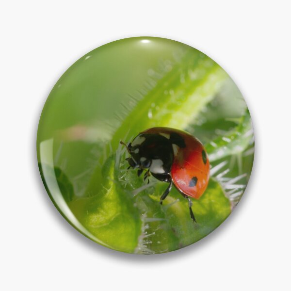 Item preview, Ladybird on the Hunt designed and sold by GingerMan2550.