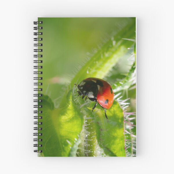 Item preview, Ladybird on the Hunt designed and sold by GingerMan2550.