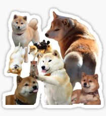 Shiba Inu: Stickers | Redbubble