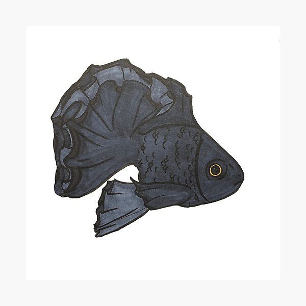 Item preview, Black Goldfish designed and sold by Crystaliii.