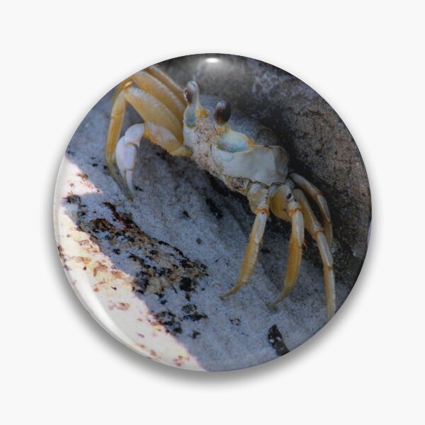 Item preview, Crab rock designed and sold by Jasper Glaspie.