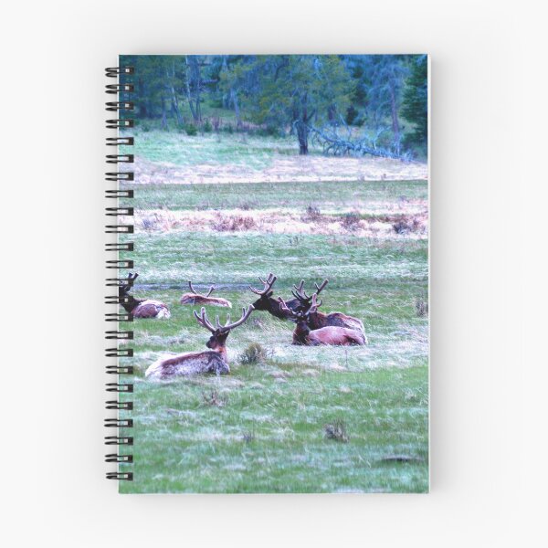 Item preview, Campo de alces designed and sold by Jasper Glaspie.