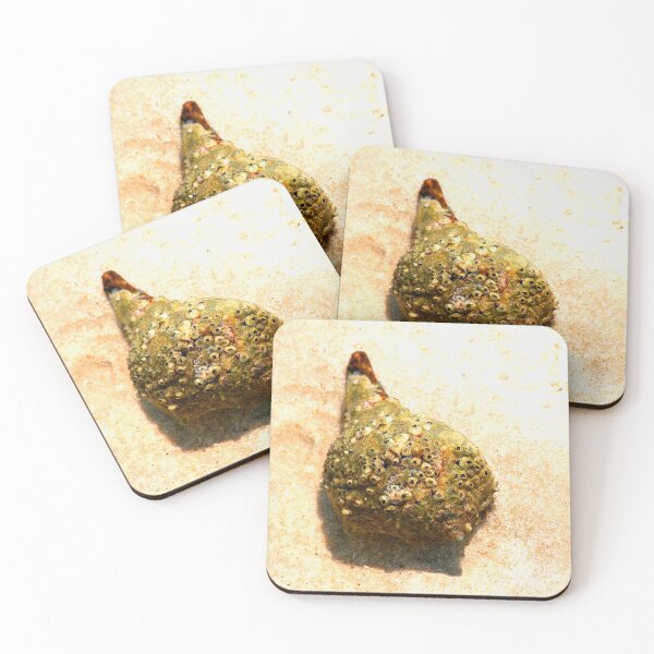 Item preview, Beach Shell designed and sold by Jasper Glaspie.
