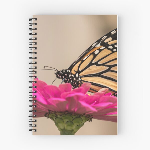 Item preview, Fall Monarch 2016-4 designed and sold by Thomasyoung.