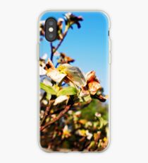 Shiloh Battlefield-227888 iPhone Case