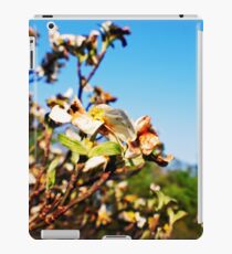 Shiloh Battlefield-227888 iPad Case/Skin