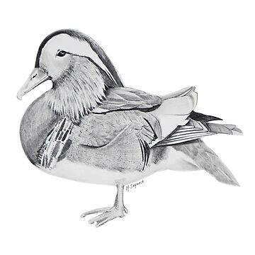 Artwork thumbnail, Mandarin by MonishaBlog