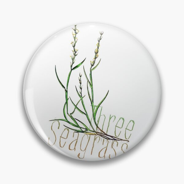 Item preview, Three Seagrass designed and sold by katemargoli.