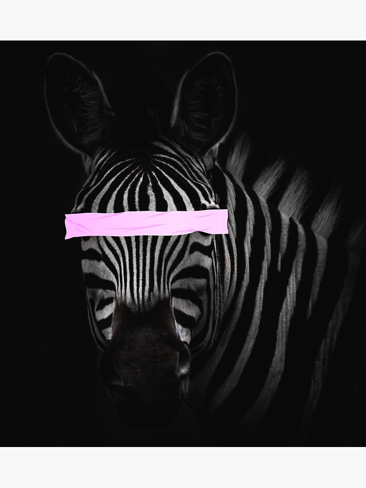 Art Photography Pink Zebra