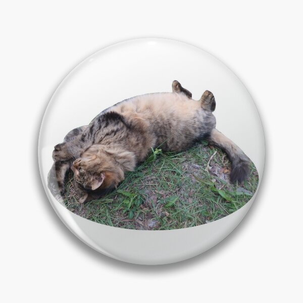 Item preview, Brown Cat Rolling designed and sold by Crystaliii.