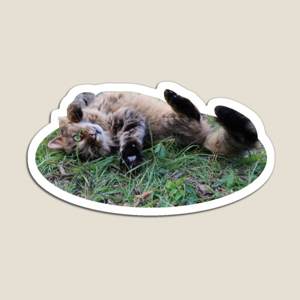 Item preview, Brown Cat Rolling2 designed and sold by Crystaliii.