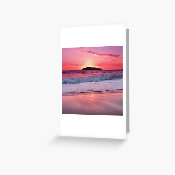 Hawks Nest by Kate Branch Greeting Card