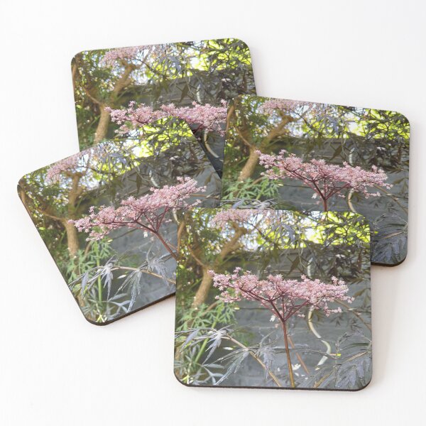 Item preview, Photograph of a pink Elderberry flower. designed and sold by Lorraine Lashley  - My Joy..