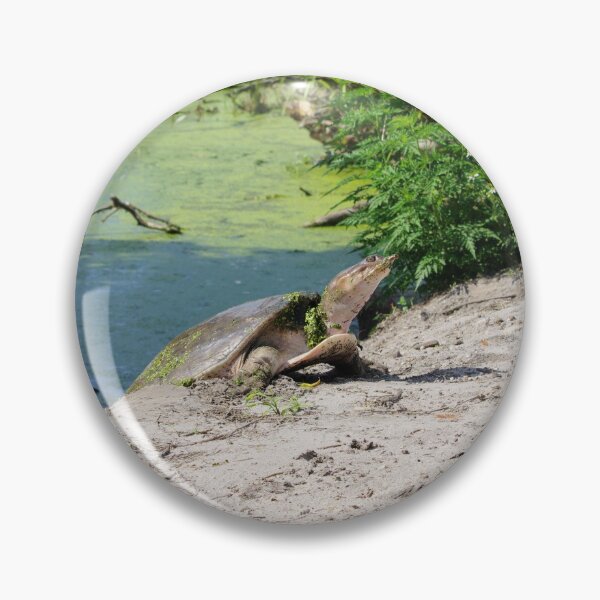 Item preview, Florida Softshell designed and sold by InhumanImaging.