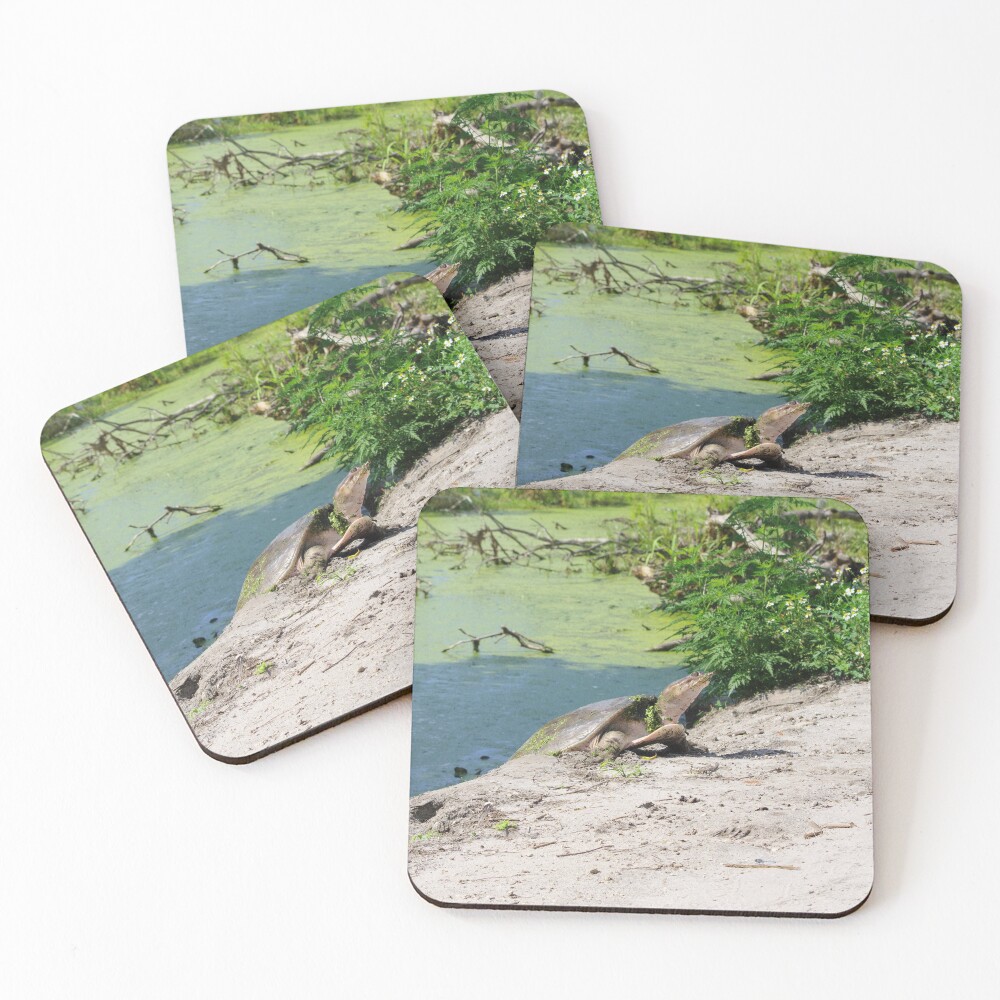 Item preview, Coasters (Set of 4) designed and sold by InhumanImaging.