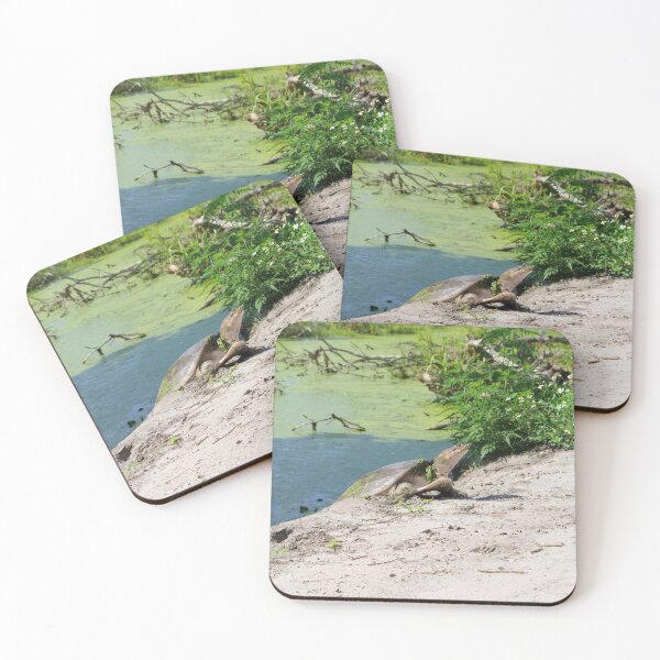 Item preview, Florida Softshell designed and sold by InhumanImaging.