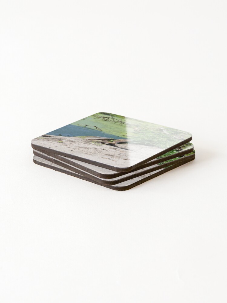 Thumbnail 4 of 5, Coasters (Set of 4), Florida Softshell designed and sold by InhumanImaging.