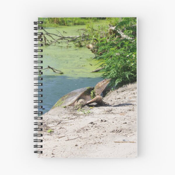 Item preview, Florida Softshell designed and sold by InhumanImaging.