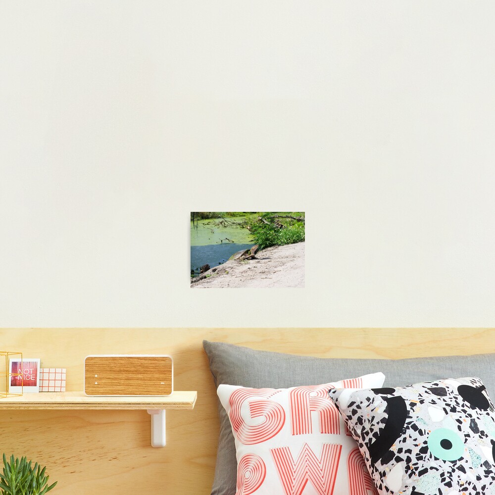 Item preview, Photographic Print designed and sold by InhumanImaging.