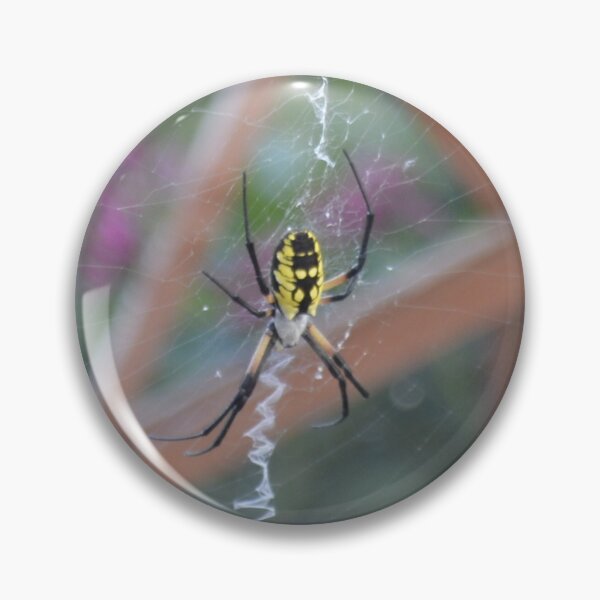 Item preview, Spider designed and sold by Maura-Christine.