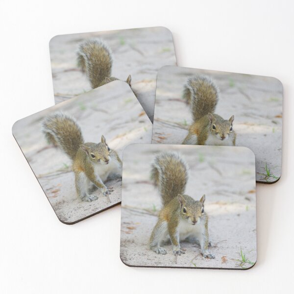 Item preview, Eastern Gray Squirrel designed and sold by InhumanImaging.