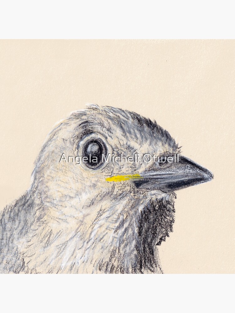 Curious Baby Bird by ByFitsAndStarts