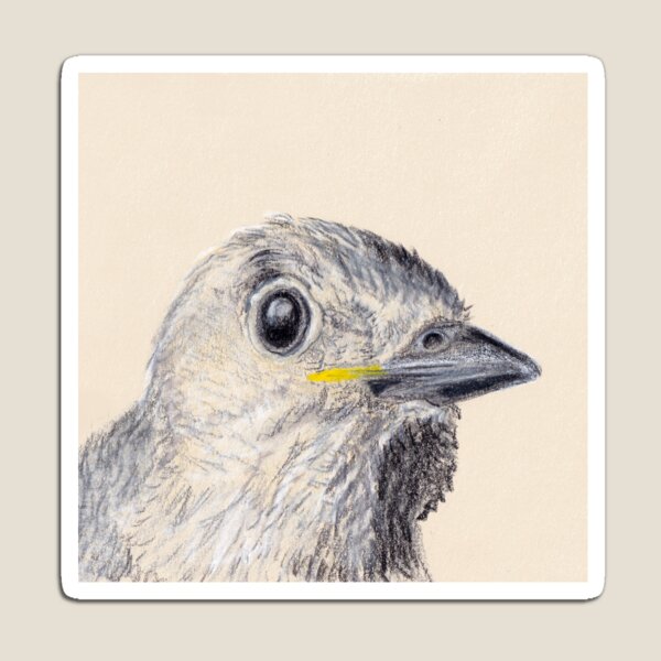 Curious Baby Bird Magnet