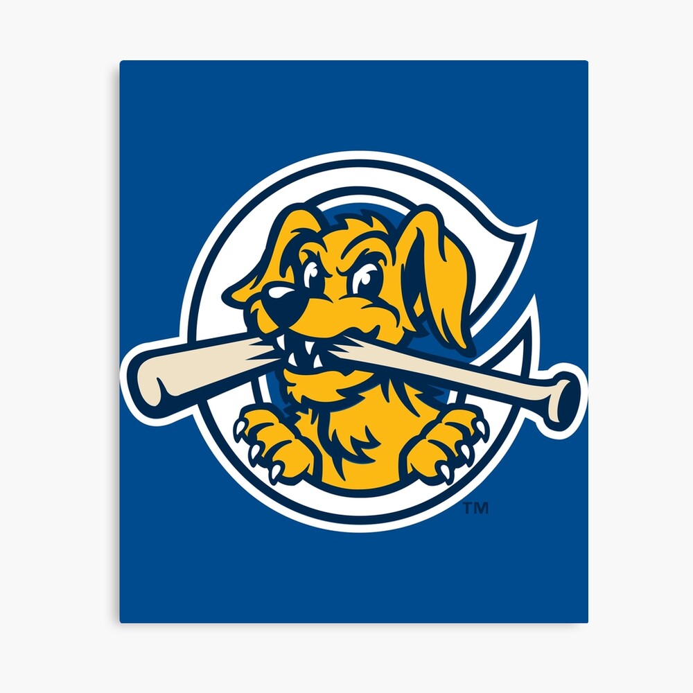 979 Charleston Riverdogs Stock Photos - Free & Royalty-Free Stock