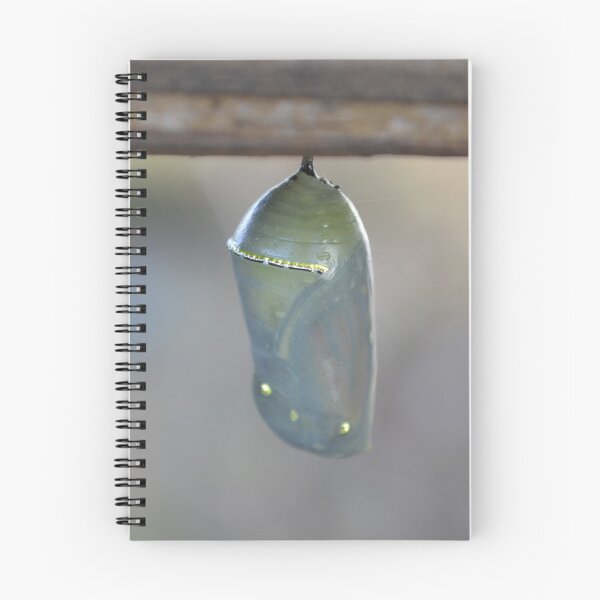 Item preview, Monarch Butterfly Cocoon designed and sold by Maura-Christine.