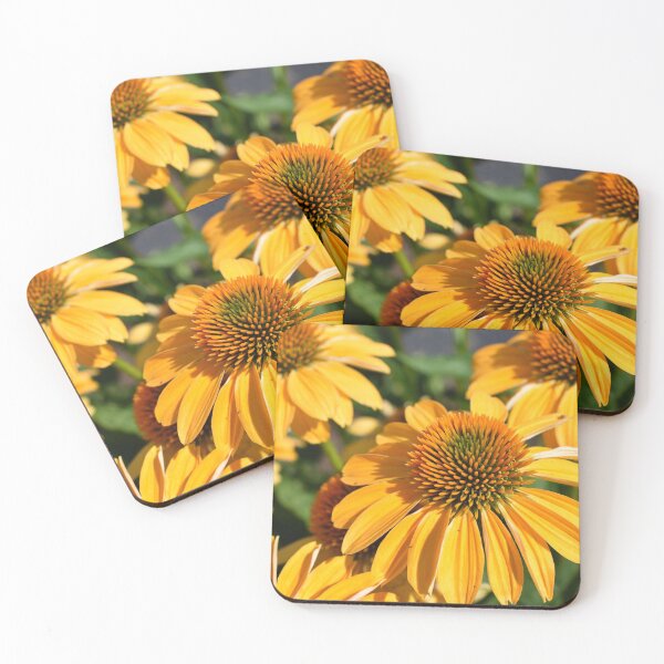 Item preview, Orange Cone Flowers designed and sold by Maura-Christine.