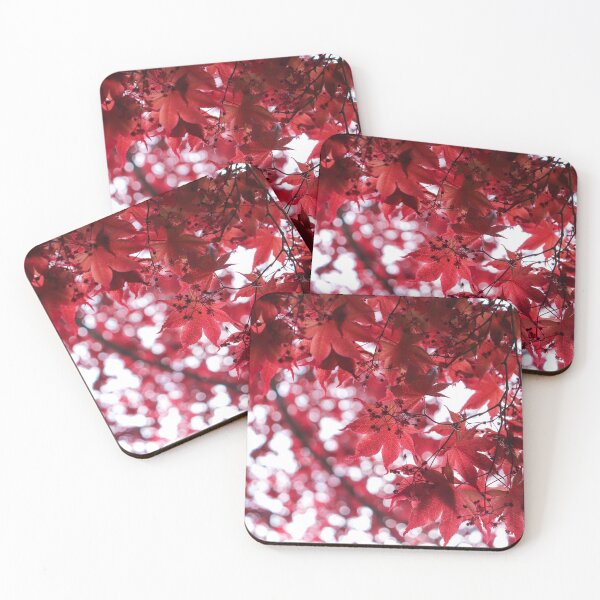 Item preview, Japanese Maple designed and sold by melco96.