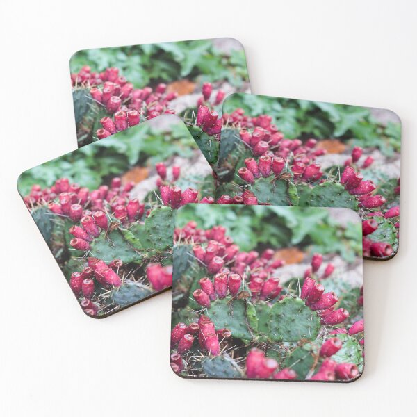 Item preview, Flowering Cacti in the Rain designed and sold by melco96.