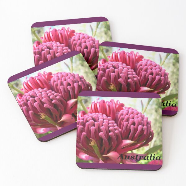 Item preview, Waratah flower, Telopea. NSW, Australia designed and sold by Cobargo South Coast.