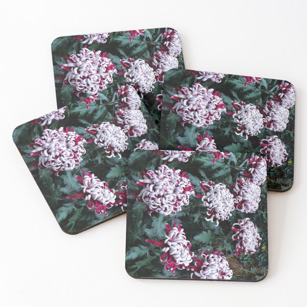 Item preview, Red Chrysanthemums  designed and sold by melco96.