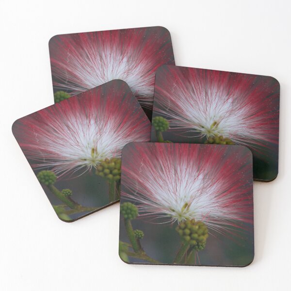 Item preview, red tips flower designed and sold by estebanhk.