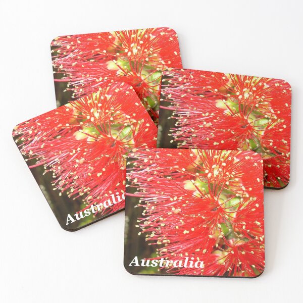 Item preview, Bottle Brush (Callistemon), NSW, Australia designed and sold by Cobargo South Coast.