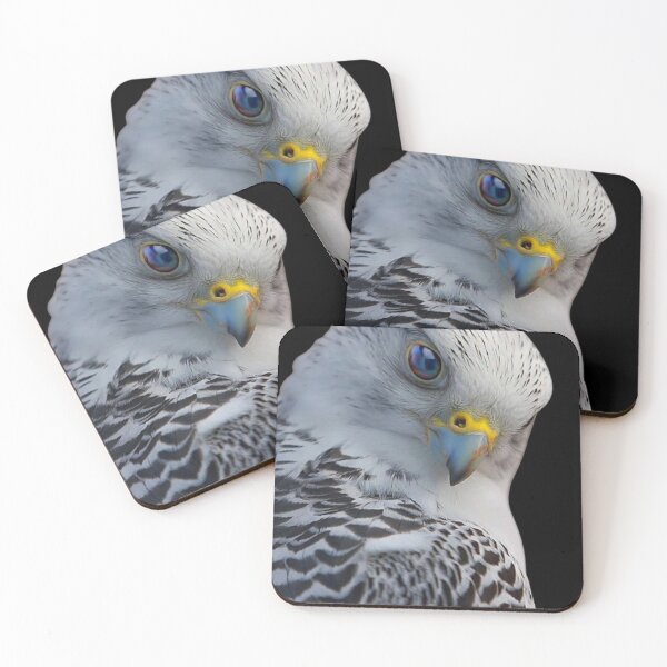 Item preview, Prefect falcon's eyes hunting designed and sold by Omarjoker99.