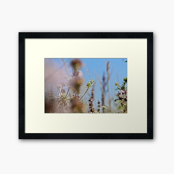 Item preview, Wild Life photography plants designed and sold by WFP87.