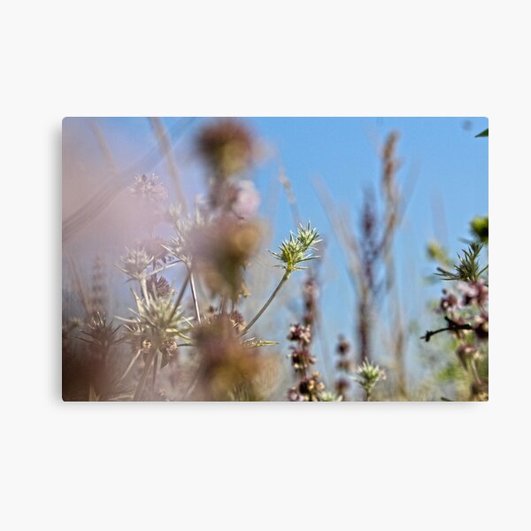 Item preview, Wild Life photography plants designed and sold by WFP87.