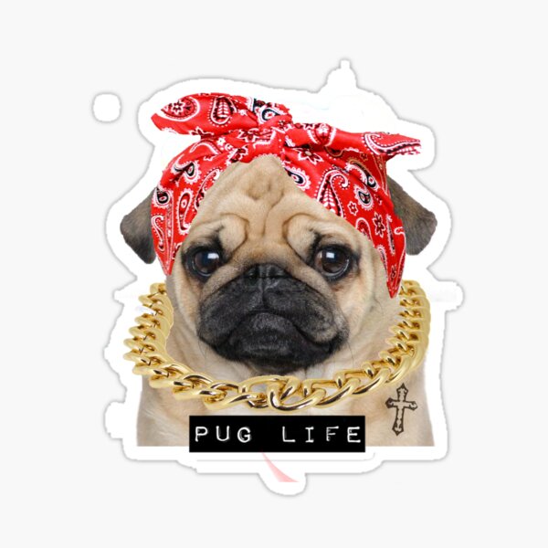 Vista previa del artículo con la obra «Vida Pug», diseñado y vendido por acaciablue.