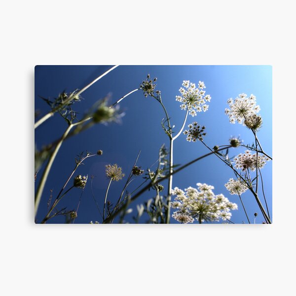 Item preview, Cow parsley designed and sold by WFP87.