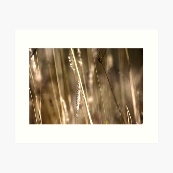 Item preview, Grass  designed and sold by WFP87.
