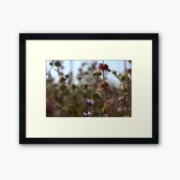 Item preview, Wild Flower Photography designed and sold by WFP87.
