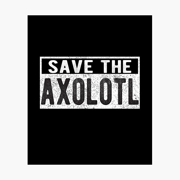 Save the axolotl Photographic Print